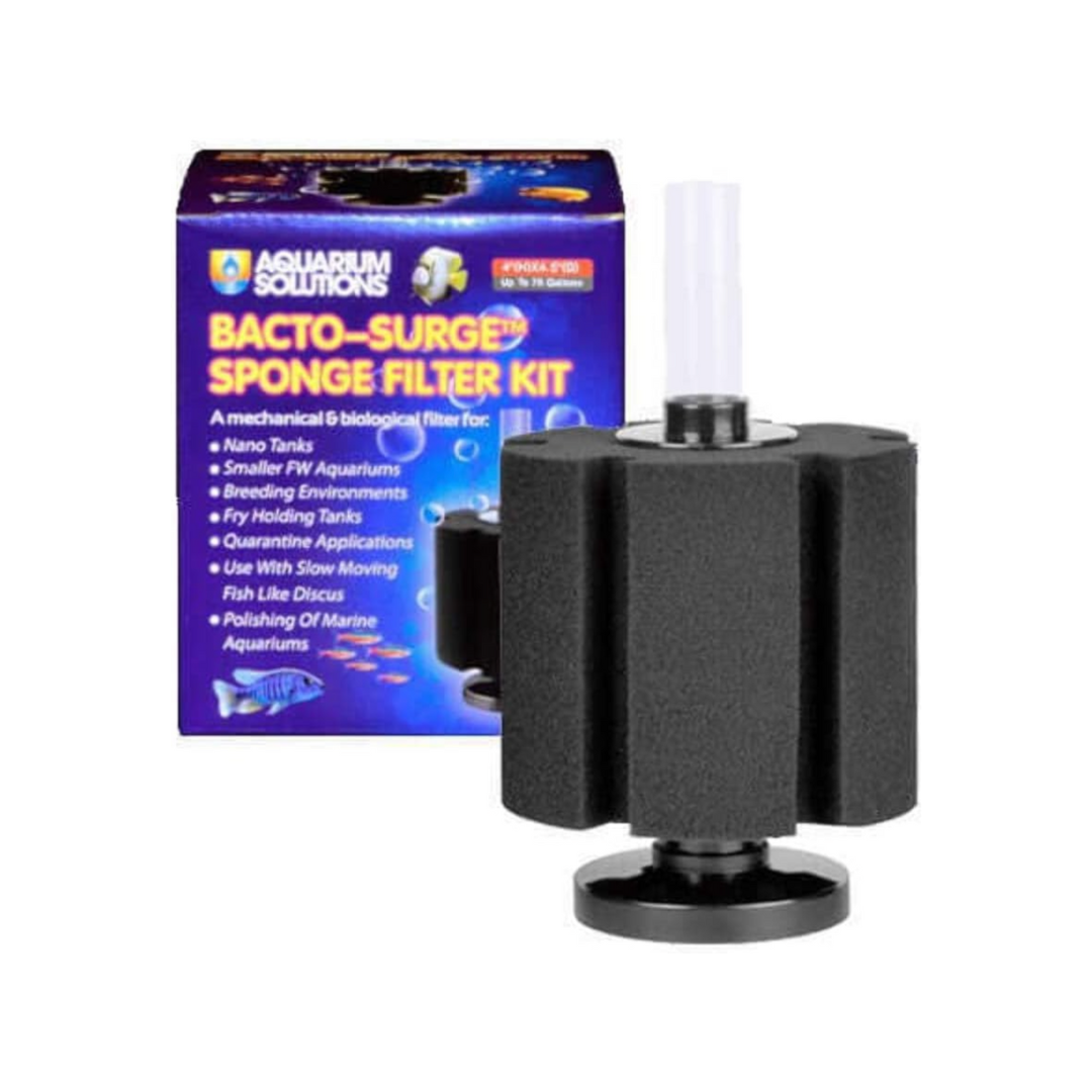 Sponge Filter For Axolotl Aquarium