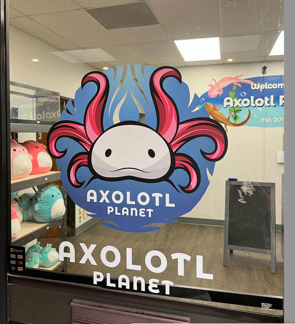 a photo of the front window at the axolotl planet store location